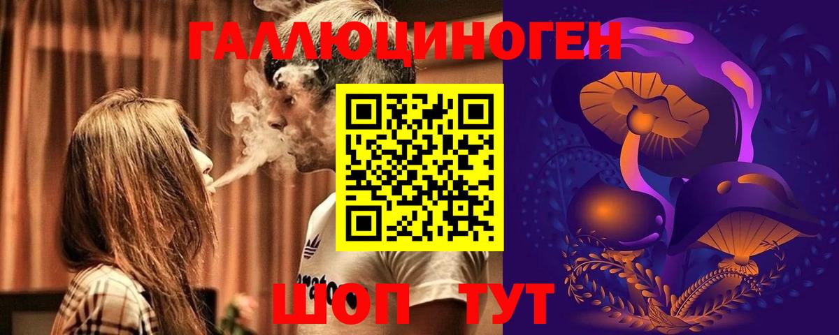 Псилоцибиновые грибы Psilocybe Долгопрудный